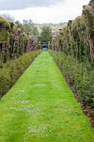 View down the Taxus baccata - Yew Avenue in the Walled Garden. Miserden garden, near Stroud, Gloucestershire, UK.
