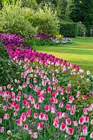 Pink tulip border - Tulip Festival at Pashley Manor in Sussex