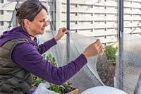 Woman using clear adhesive tape to fix bubble wrap to inside of greenhouse to provide insulation against the cold winter weather. 