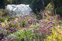 View through Verbena bonariensis to Solar dome greenhouse.