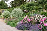 View of mixed flowerbed at Batcombe House, Somerset, UK. 