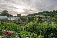 View across the kitchen garden towards greenhouses under a dramatic sky
