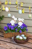 Easter display with pastel eggs and feathers in nest, wicker tray with Viola - Pansies, decorative rabbits and flowering Corylopsis branch. 