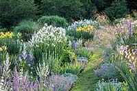Grass path between two Iris borders interplanted with other perennials
 
