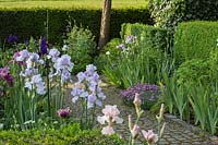 Bearded iris, pinks and clipped hedges next to a granite paved garden path 