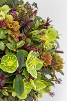 Detail of the foam sphere with mix of flowers and foliage - Helleborus, Hebe, 
Euphorbia and Hedera