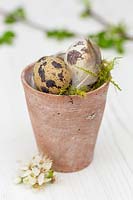 Eggs in terracotta pot decorated with flowers and feathers