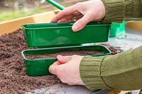 Woman using same size tray to compress the compost lightly prior to sowing the seeds