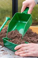 Woman filling seed tray with compost using a scoop
