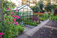 View over vegetable garden with greenhouse, climbing sweet peas and bed of young plants.