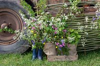 Wildflower display on 'Sophie's Country Garden Flowers' 