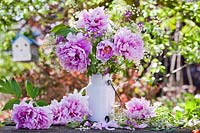 Paeonia - Peonies in a milk can.