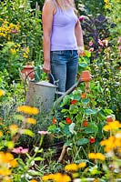 Woman with a watering can in vegetable garden.
