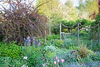 View over informal flower beds to wards decorative rope feature dividing 
garden areas. Planting includes: Berberis x ottawensis, Tulipa, Camassia and Myosotis.
