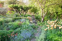 Wooden chairs amongst beds of Tulipa, Myosotis - Forget-me-not and Alliums
