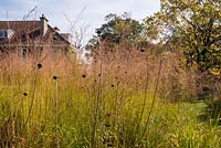 Prairie-style planting with ornamental grasses and seedheads