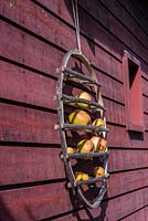 Rustic birdfeeder with apples hung up on timber building