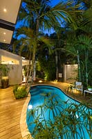 Garden lit up at night, features a swimming pool surrounded by wooden deck with foliage planting of palms and Papyrus 