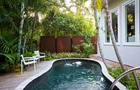 Small urban garden designed with privacy in mind, swimming pool with travertine coping and deck near house with palms and other tropical foliage near boundary 