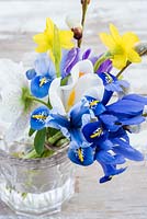 Posy of Iris reticulata, Helleborus, Cocus, Salix - pussy willow and Narcissus 'Tete a Tete' displayed in glass jam jar. 