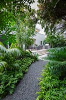 Lush, tropical borders edging path, leading towards patio. Florida, USA. Garden design by Craig Reynolds Landscape Architecture.