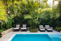 Swimming pool in garden. Florida, USA. Garden design by Craig Reynolds Landscape Architecture.