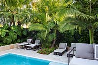Sun loungers by swimming pool in lush, tropical garden. Florida, USA. Garden design by Craig Reynolds Landscape Architecture.
