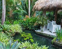 Water lilies in pond in tropical garden. The Jones Residence, Key West, Florida, USA. Garden design by Craig Reynolds.
