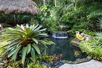 Chickee hut and pool with water feature and giant Bromeliad. The Jones Residence, Key West, Florida, USA. Garden design by Craig Reynolds.
