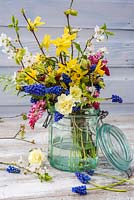 Early wild spring bouquet with Muscari, primroses, blossom, Forysthia, Narcissus and Ribes, displayed in glass jar. 