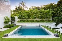 A swimming pool with loungers and a raised bed of Citrus - Orange trees beyond

