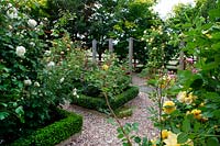 Buxus-edged borders in the traditional rose garden, in garden of designer Karen Tatlow.
