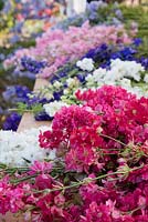 British cut-flowers, Delphinium consolida in magenta, white, blue and pink laid out on trestle table. 