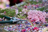 Natural confetti made of Delphinium consolida petals and pair of secateurs.
