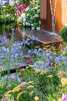Looking through Achillea and Agapanthus flowers to paving and metal water 
feature by Stark and Greensmith in the 'Brilliance in Bloom' garden
