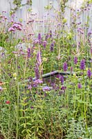 Steel water feature surrounded by 
Verbena bonariensis, Agastache 'Blackadder' and Veronicastrum virginicum
 'Fascination' in 'Southend Young Offenders': A Place to Think' garden
