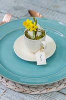 Cup and saucer filled with decorated egg and name tag, on place setting