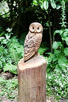 Perched owl made from Thuja plicata - Western Red Cedar tree
