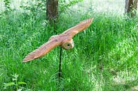 Flying Owl, carved from Castanea sativa - Sweet Chestnut - set in long grass
