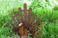 Peacock - artwork of mild steel and wood - set amongst Carex - Sedge
