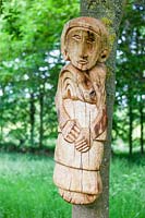 Cocooned - carved figure in Quercus - Oak, mounted on tree trunk
