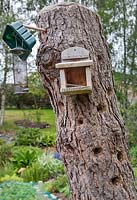 Old pine tree trunk with bird feeders and woodpecker holes