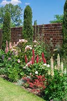 Mixed border in walled cottage garden, with flowering Lupins. 