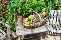 Cucumbers and garden tools in trug on the table