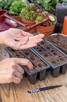 Woman using index finger to make holes in compost ready for sowing seeds
