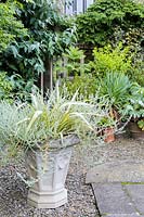Terrace with pot planted with Helichrysum and Phormium 'Yellow Wave'. 