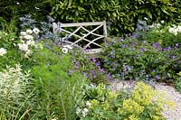 Wooden bench set between full flowering borders at Bosvigo House, Cornwall, UK.