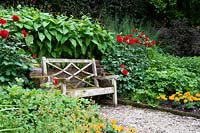 Wooden bench set among flowering Dahlias and Persicaria at  Bosvigo House, Cornwall, UK. 