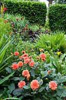 View among flowering perennials and ornamental grasses in border, including Dahlia and Monarda. 