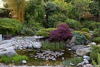 Japanese themed garden pond. 